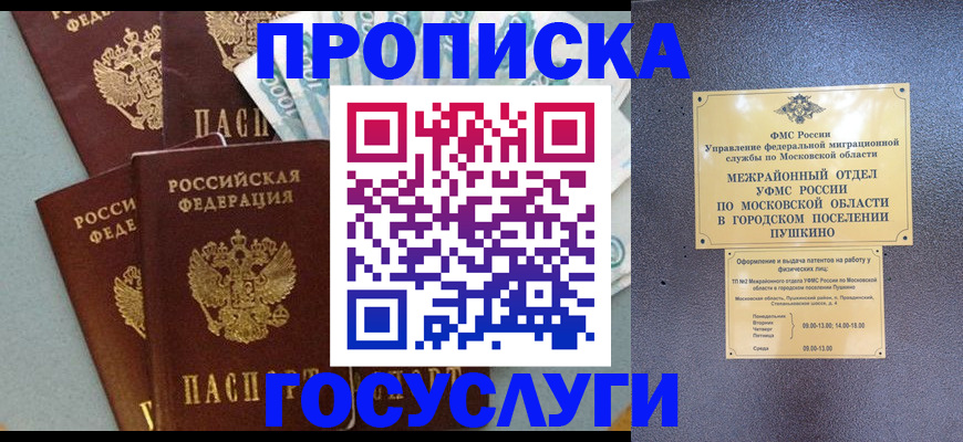 прописка гарантия в Курской области